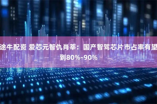 途牛配资 爱芯元智仇肖莘:国产智驾芯片市占率有望到80%-90%